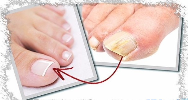 Взято в поисковой системе yandex.ru