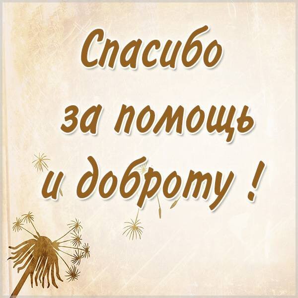 Яндекс Картинки