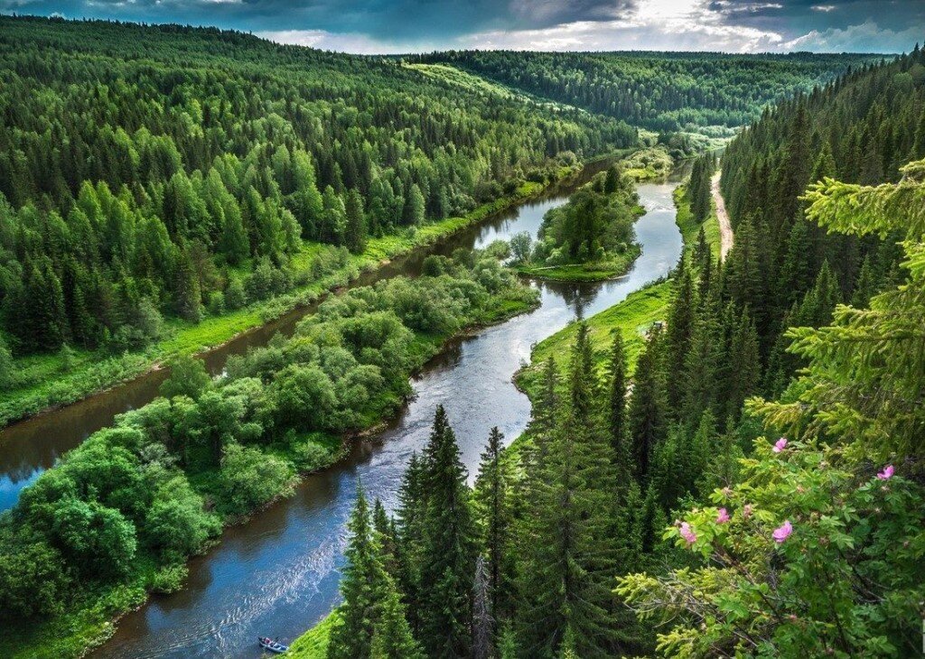 яндекс картинка