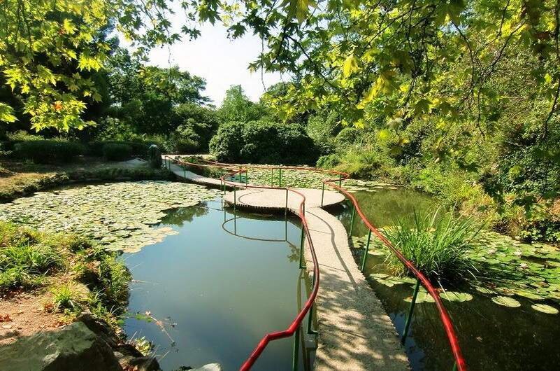 Источник: accbook.ru 