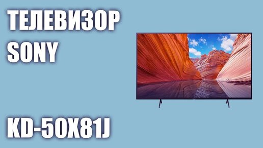 Телевизор Sony KD-50X81J