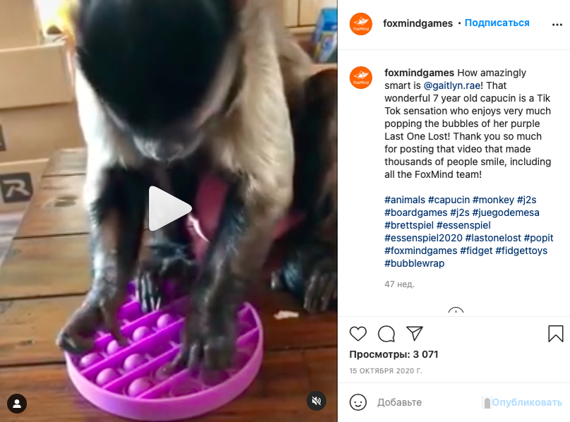 Обезьянка играет в Pop it