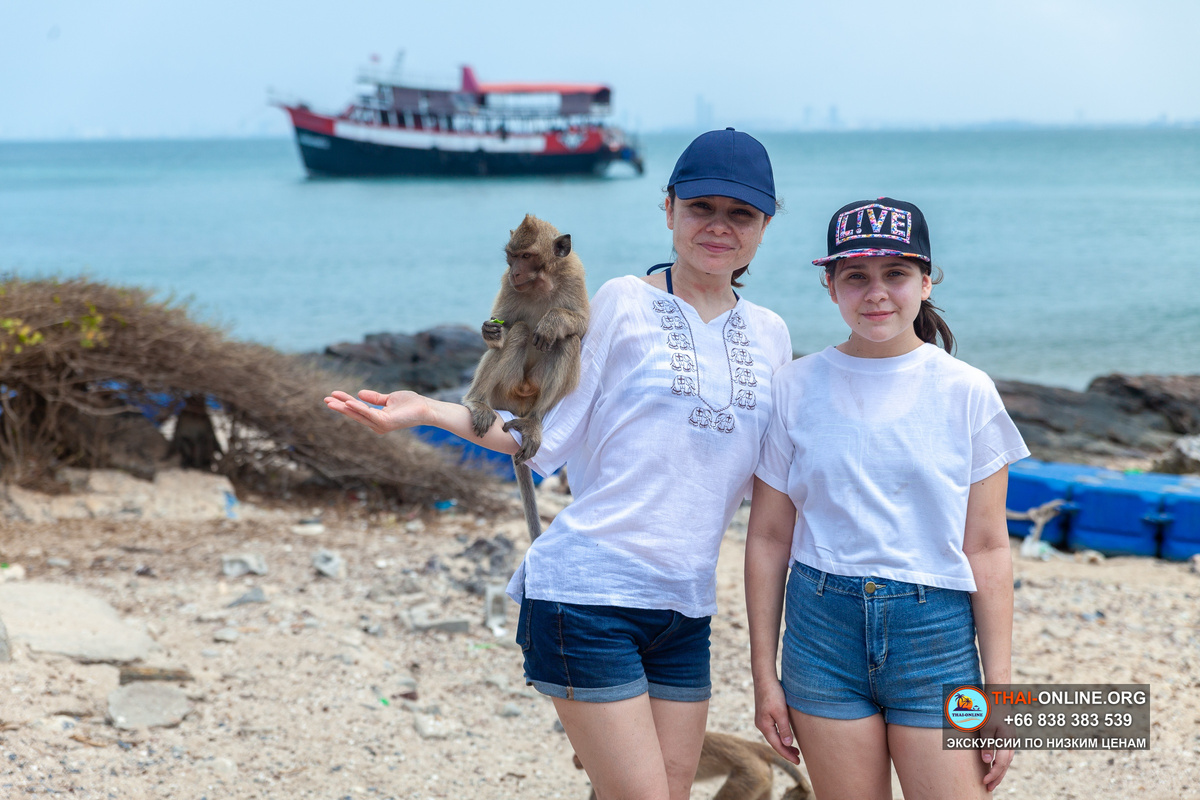 Madagascar-Cruise экскурсия Мадагаскар в Паттайе Тайланд - фото 1