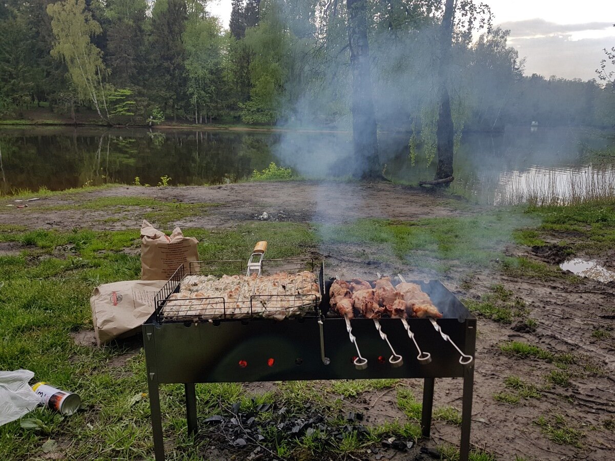 Выезд на природу 2018 год.