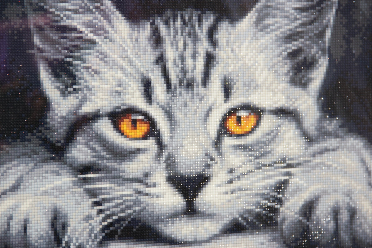 Авторское фото.