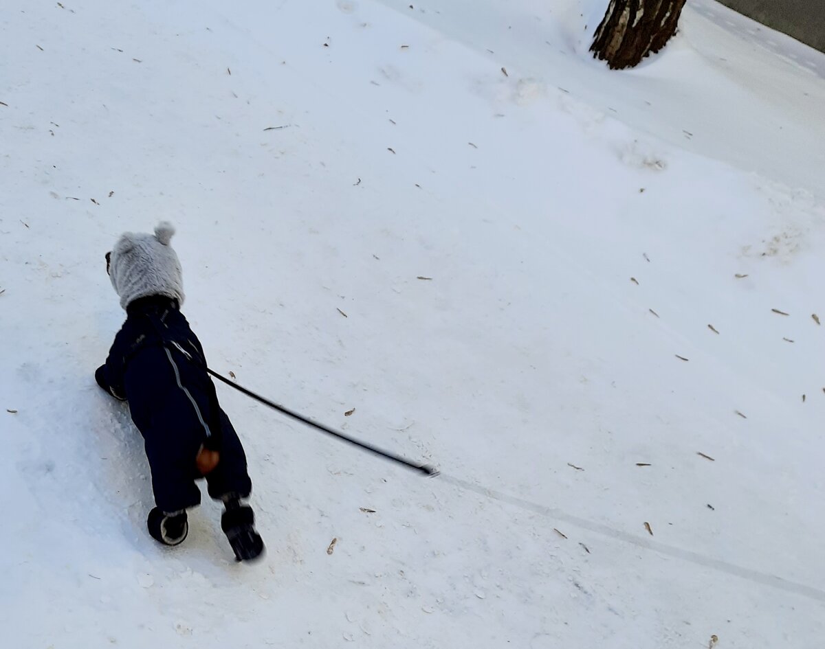 Та самая собачка