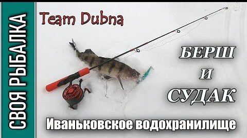 Судак и берш Иваньковское водохранилище. Рыбалка на вибы