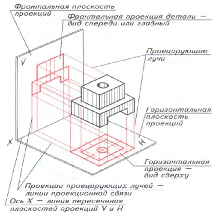 Правила построения чертежей урок. Виды проекций в черчении. Черчение фронтальная проекция. Фронтальная плоскость проекции. Фронтальная проекция детали черчение.