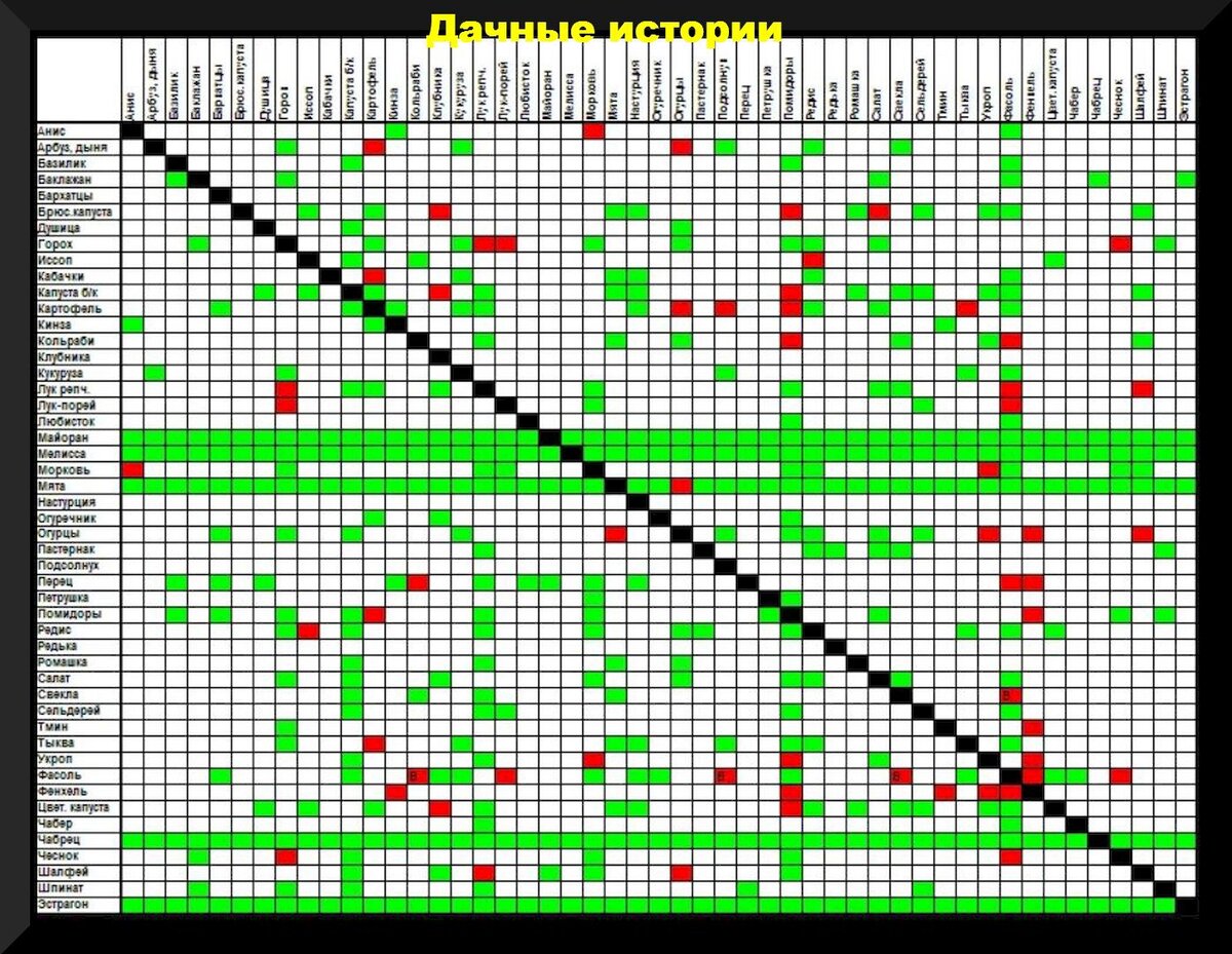 Старое соседство. Соседство овощей на грядках таблица. Аллелопатия растений таблица совместимости. Таблица совместимости посадок овощных культур. Совместная посадка овощей на одной грядке таблица.