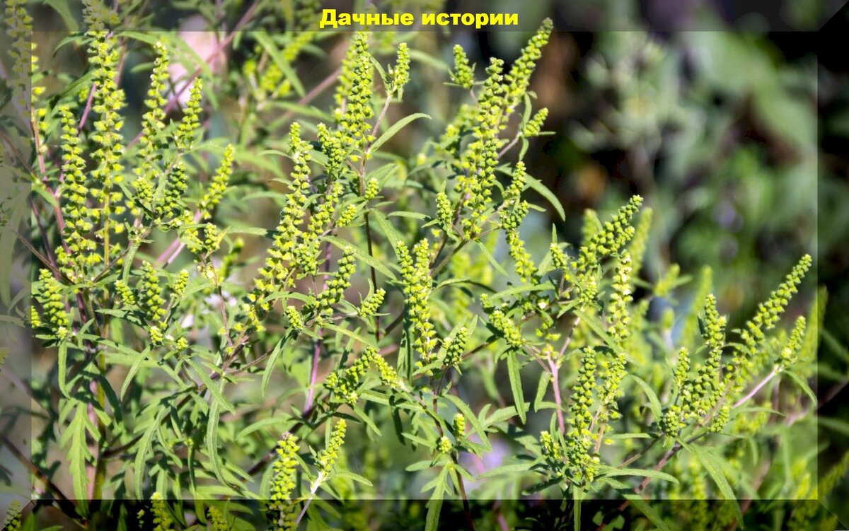 https://vk.com/photo-159774511_457251372