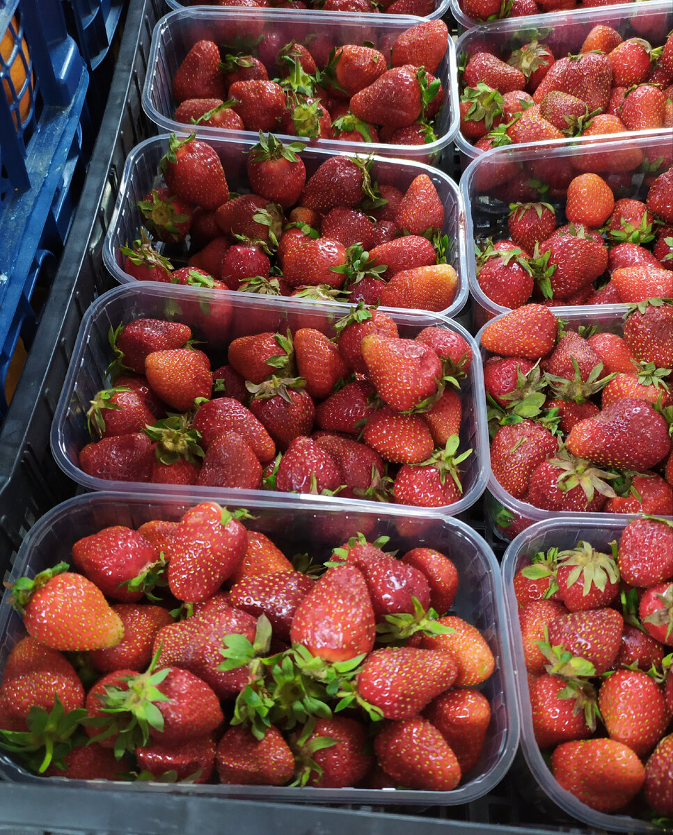 Фото автора канала Топай и лопай