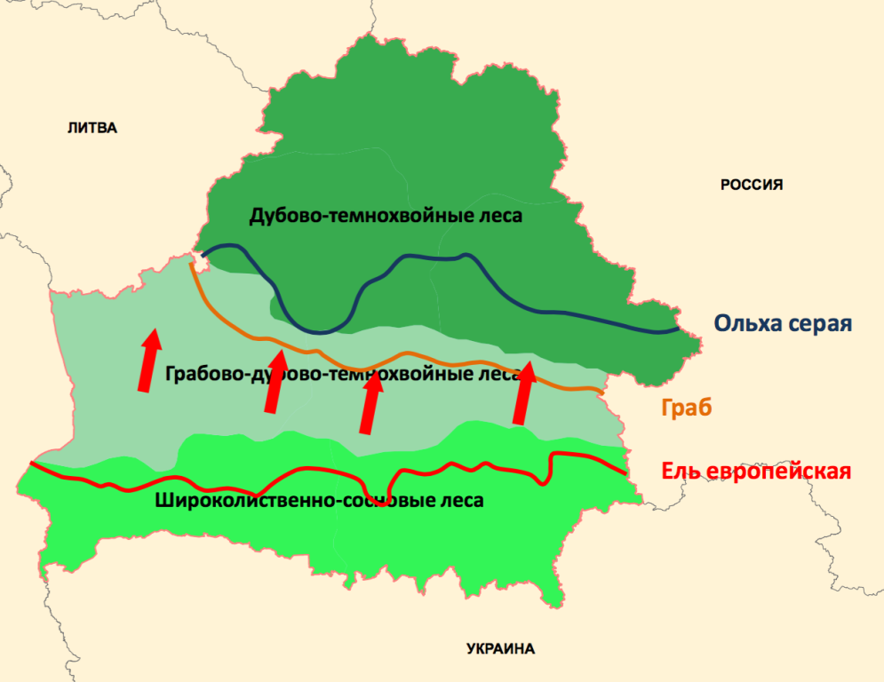 Карта закрытия лесов в белоруссии