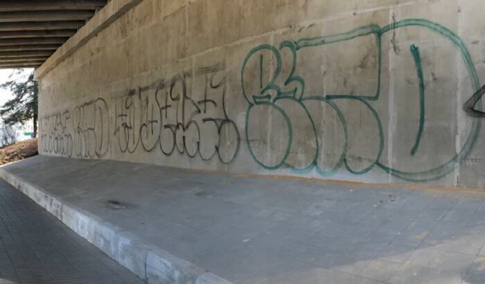 Фото: Следственный комитет