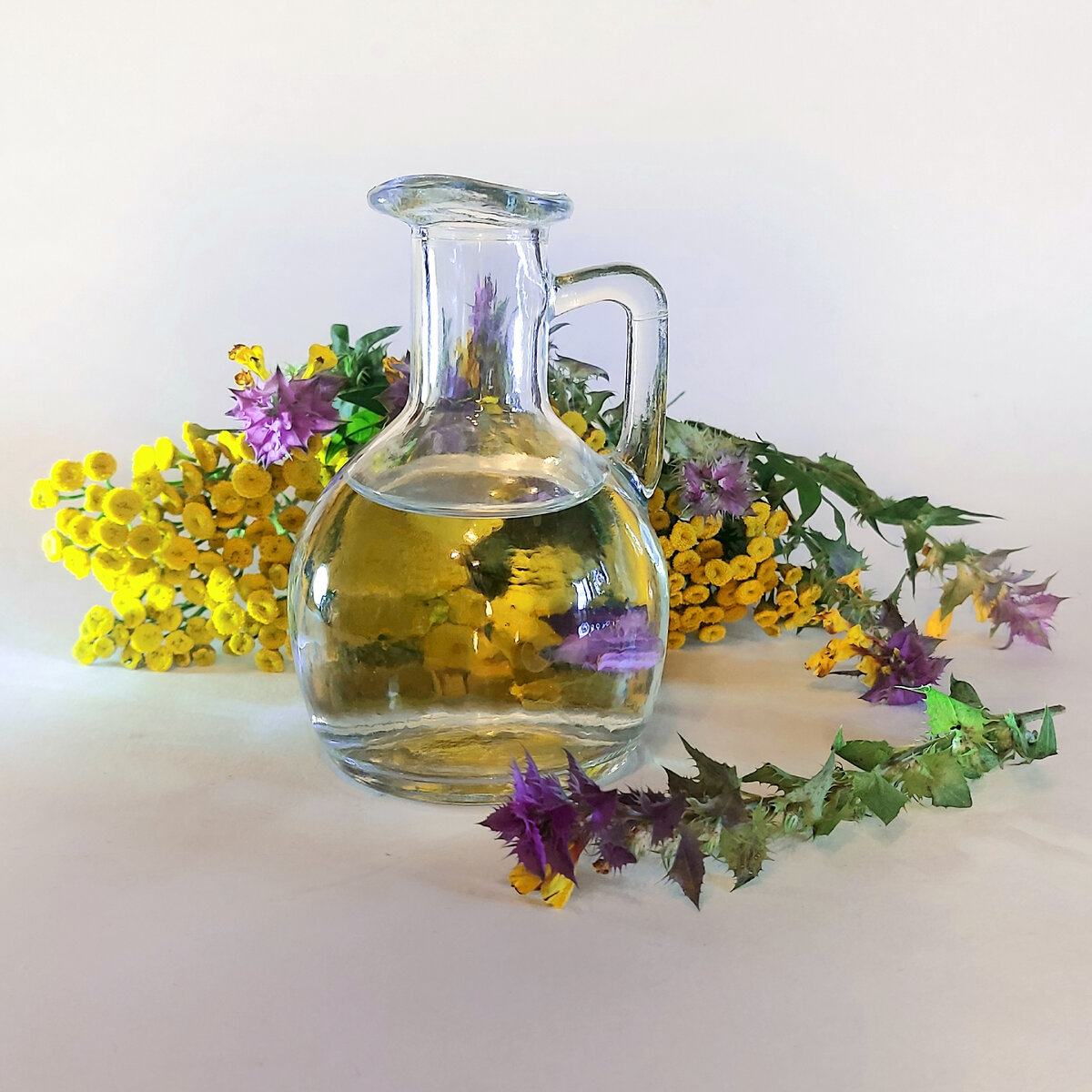 Полевые цветы