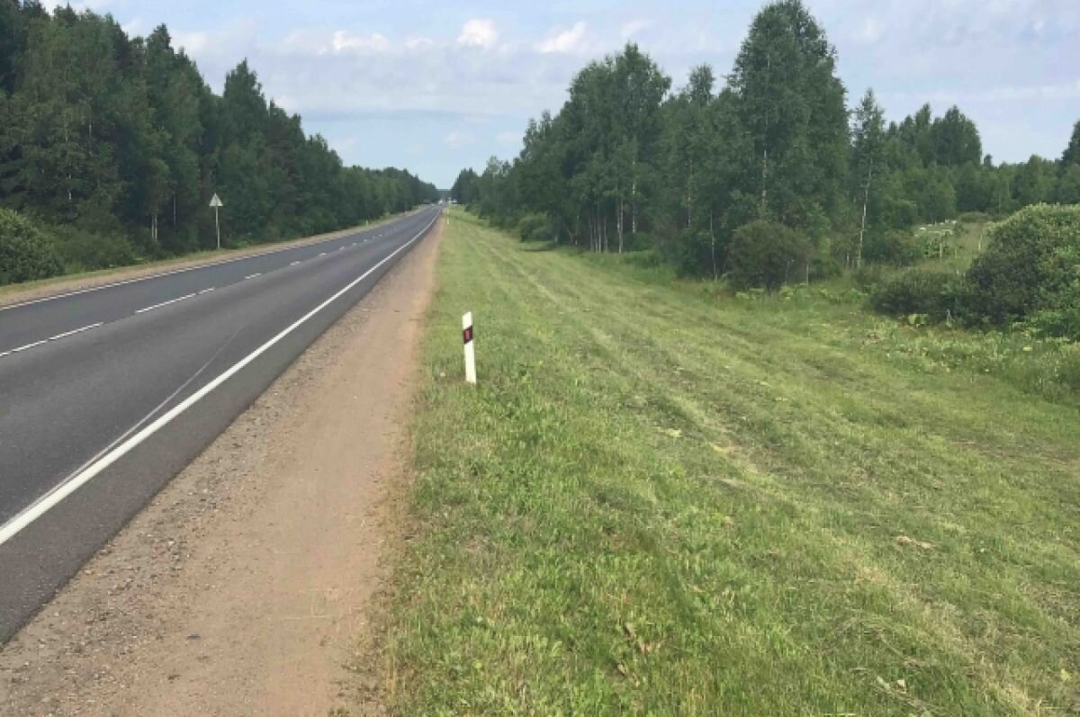    В Тверской области активно скашивают борщевик вдоль дорог