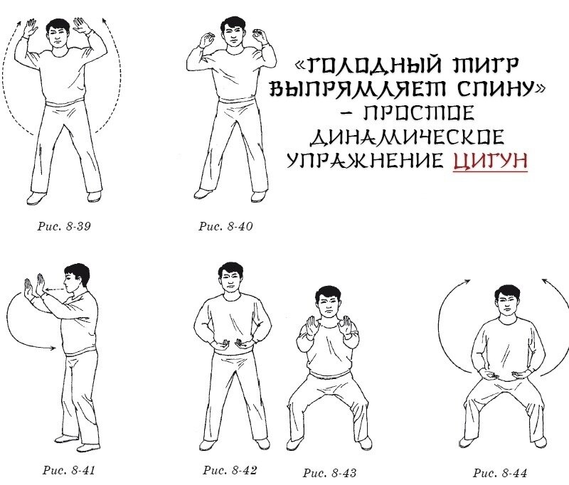 Упражнения цигун для начинающих в картинках