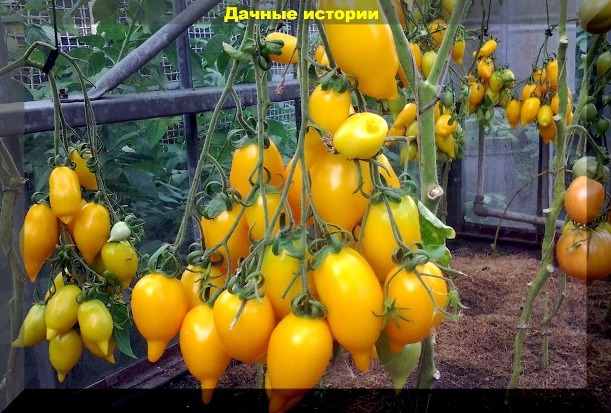https://vk.com/photo-159774511_457255254