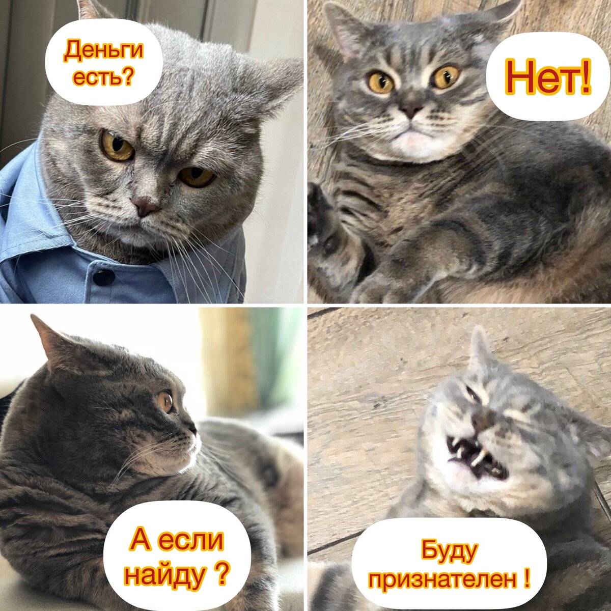 Посмеялся сам - поделись с другом!!!