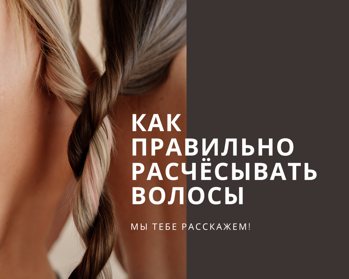 Расчесать или нет: вот в чём вопрос? | TASHE PROFESSIONAL | Дзен