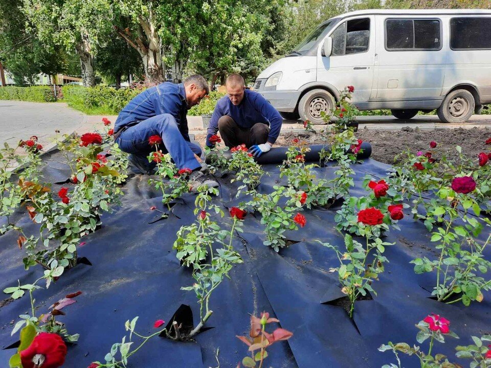     Фото: мэрия Волгограда.