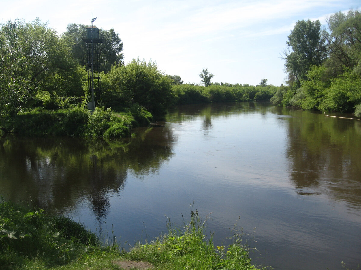 Фото. Приграничная река Мухавец.