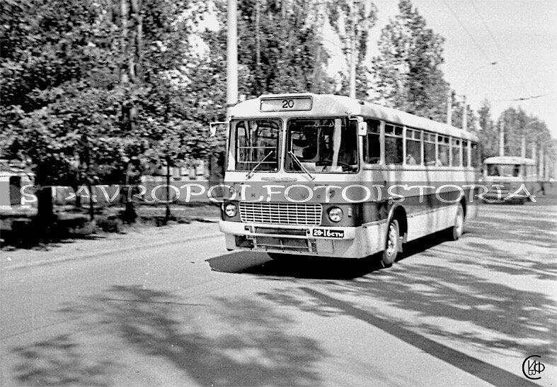 Икарус 556 28-16 стм маршрута №20 на улице Ленина, 1971 год. Фото из коллекции Владимира Шатского и его сайта «Ставрополь Фото История». 
