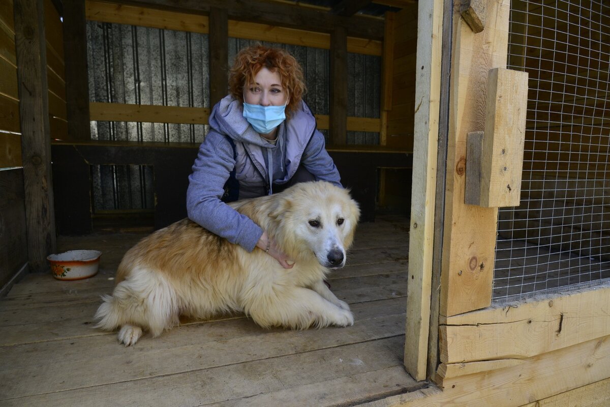    В поселке Приобье берут на передержку домашних животных мобилизованных жителей