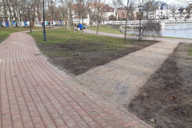   Фото: телеграм-канал Елены Дятловой