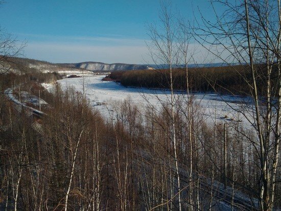     В Солнечном районе незаконно уничтожили участок леса / Анастасия Дудалова