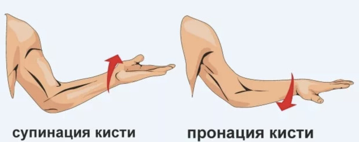 пронация и супинация. ротация предплечья. пронатор и супинатор предплечья. пронация локтевого сустава. пронация плеча.