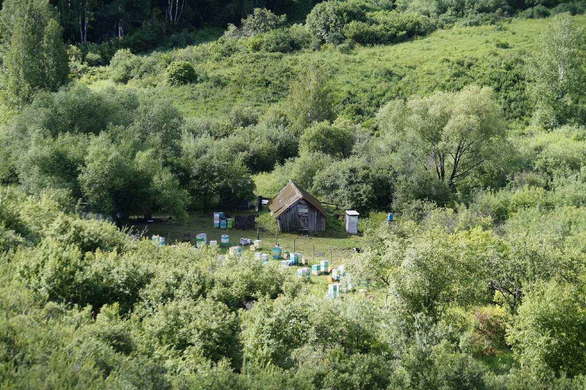 Пасека в горах
