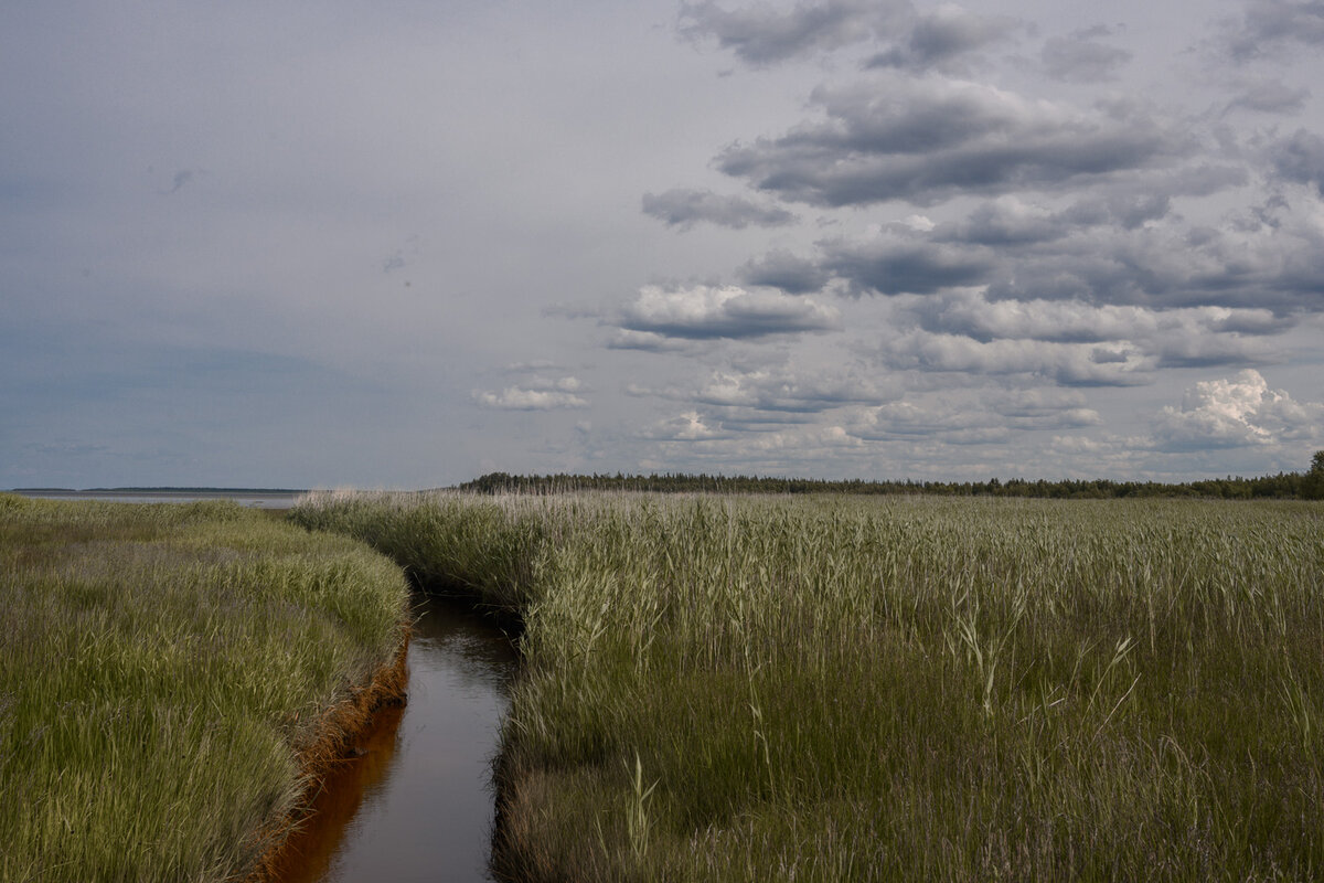 Белое море не похожее на суровое северное море. Такое бывает нечасто.