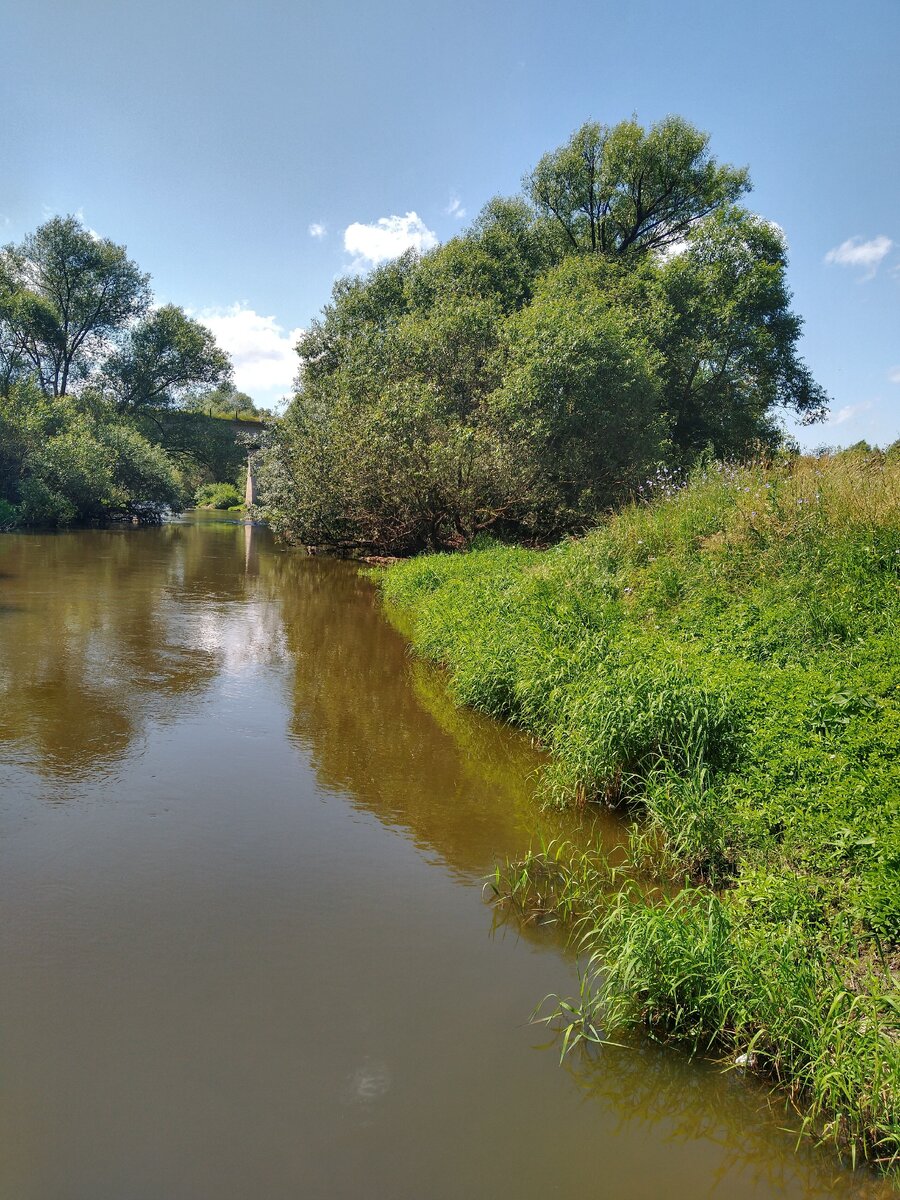 Фотки нара. Река Нара Серпухов. Река Нара Наро-Фоминск. Русло реки Нара. Нара река Чеховский район.