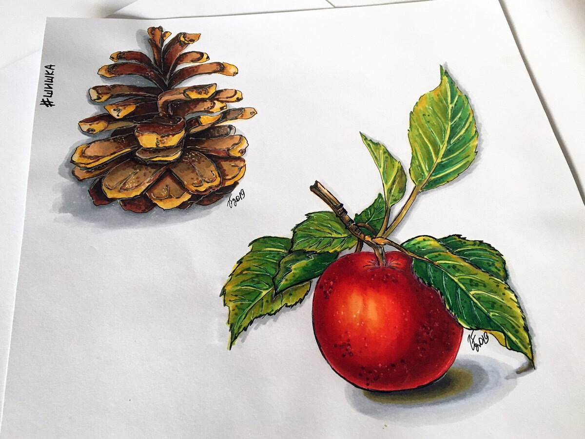 Шишка и яблоко по мастер-классам канала Sketchmarker
