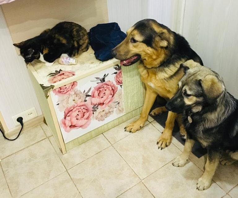 Присели на дорожку. 