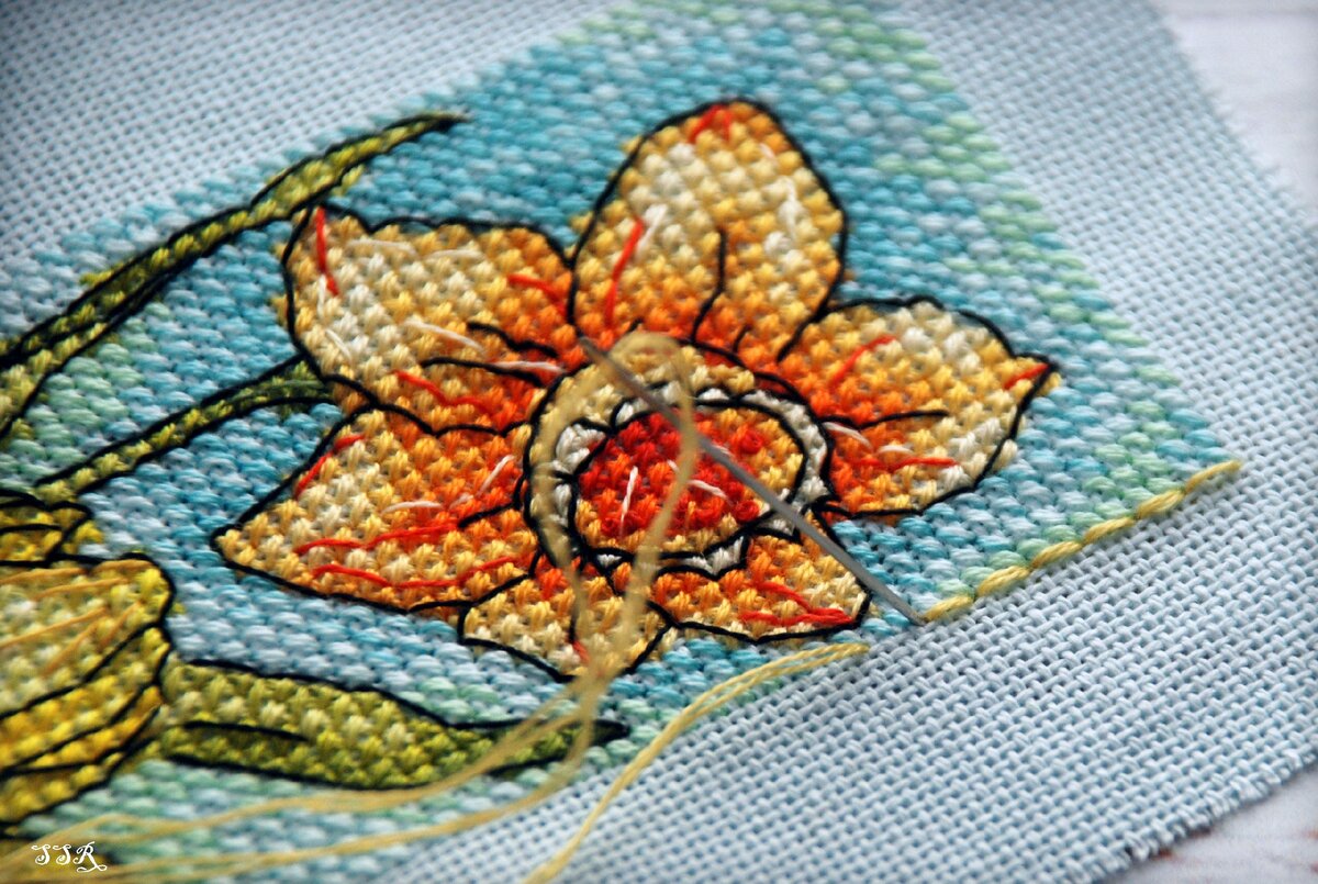 Фото Светланы Раптевой