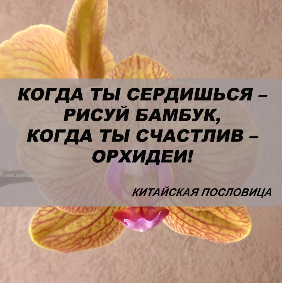Фото из Яндекса