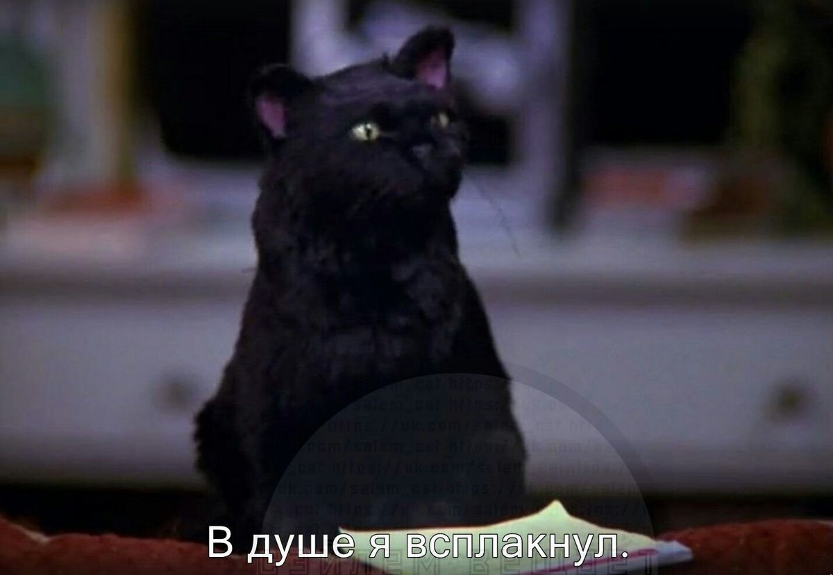 включи говорящего черного. сабрина маленькая ведьма кот салем. салем хэллоуин кот boo. бен собачка говорящий чёрный. черный кот мультсериал.
