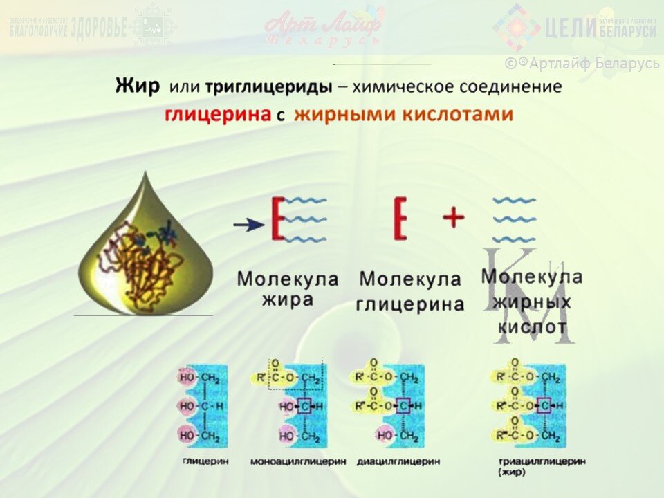 Не насыщенные и полиненасыщенные Омега-6 и Омега-3 жирные кислоты. Часть I.  | Еда и Здоровье. Нутрициология для каждого | Дзен