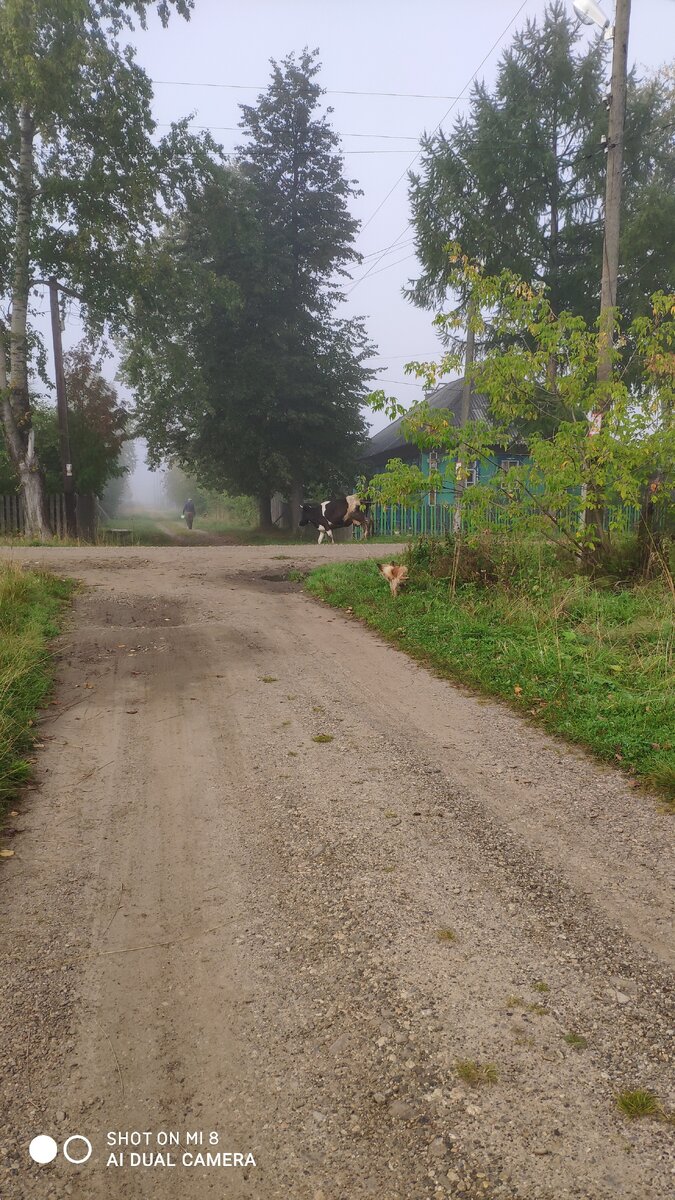 Как положено мужчине, я не оробел нисколько .