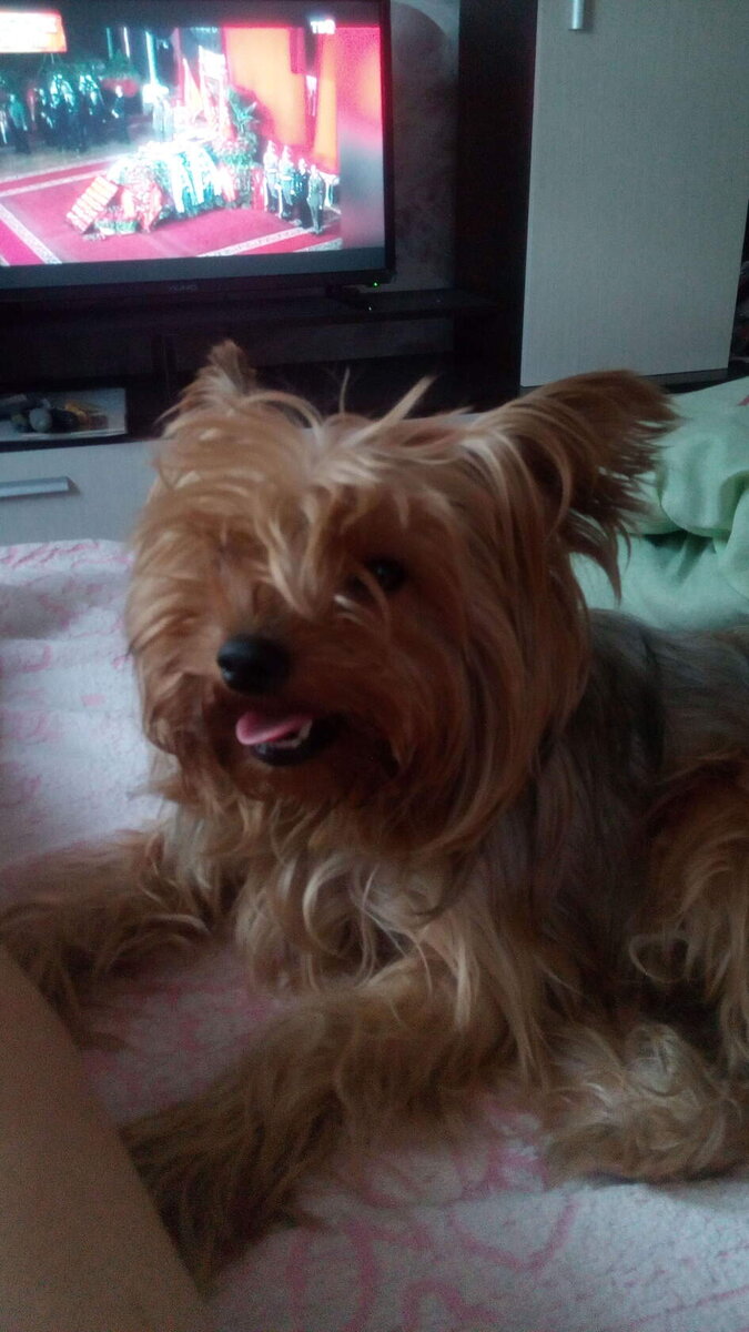 Вот таким Бусик попал в наш дом