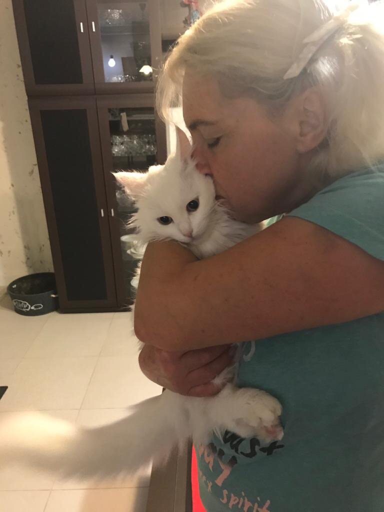 Вот такое чудо обрело дом!