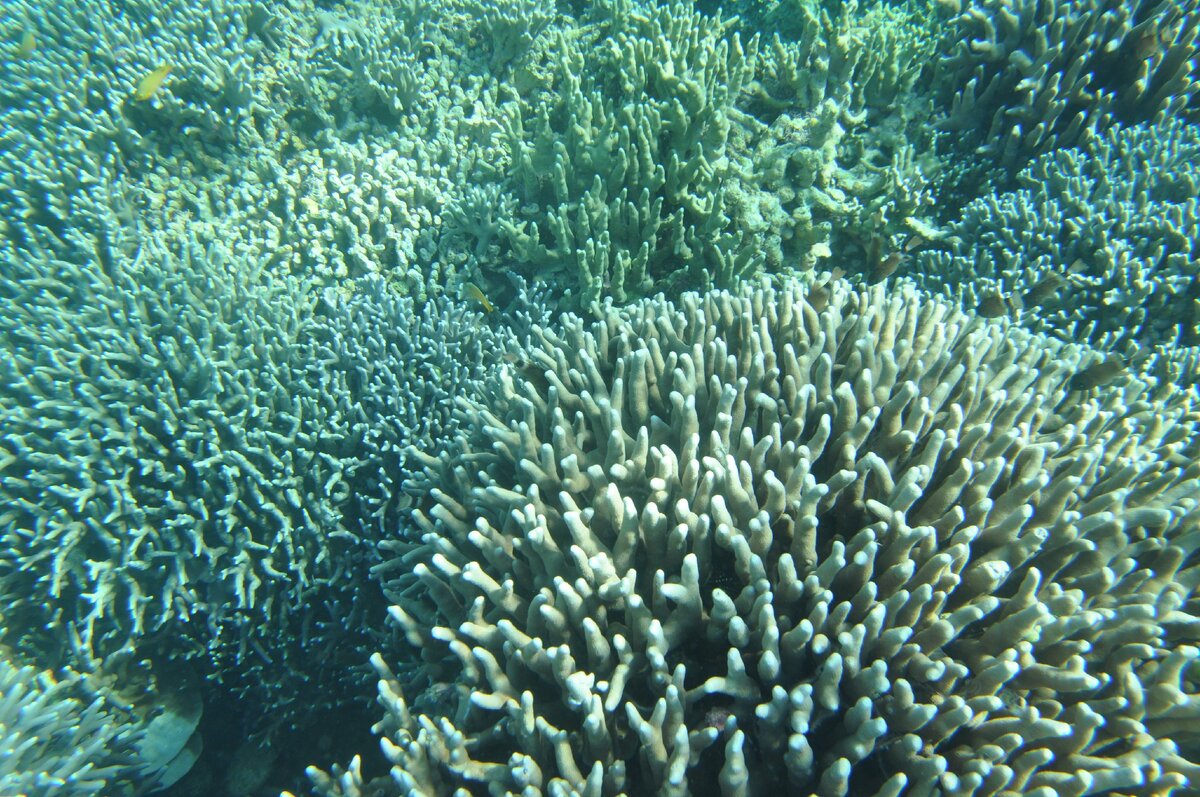 наши фото из архива