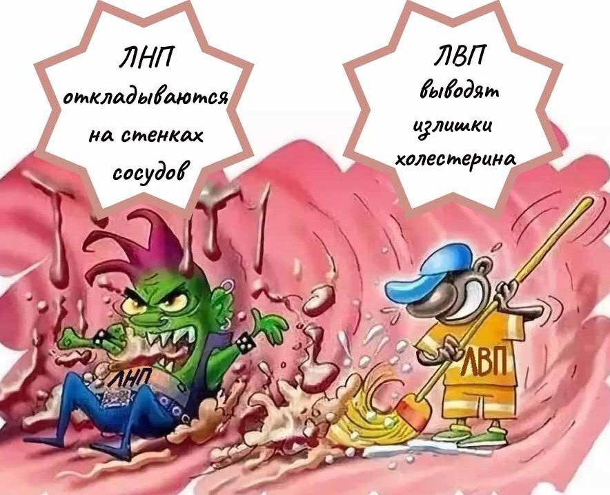 Ставьте ЛАЙКИ, пишите комментарии и подписывайтесь на канал