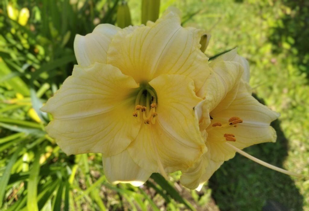 фото из личного архива