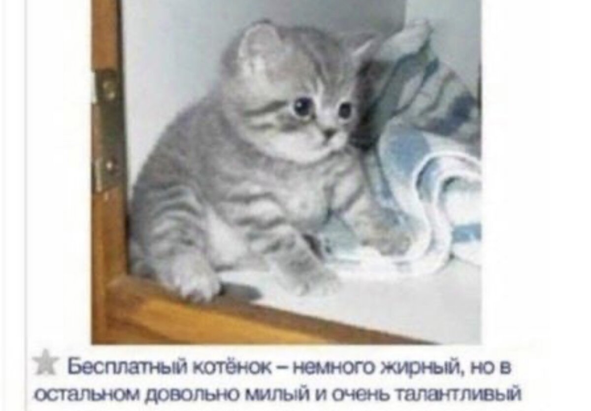 Минутка юмора