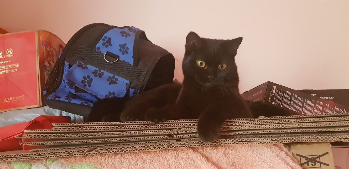 Хватит заниматься ерундой!