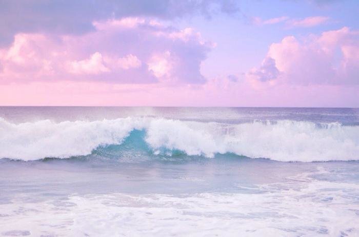 Жизнь -это миг , успей запечатлеть его.