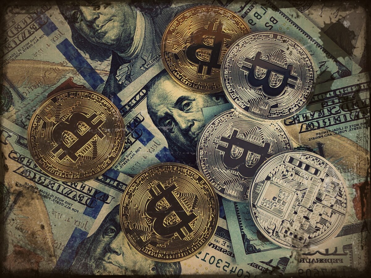 Если бы я раньше знал, что биткоин так вырастет в цене, то сегодня бы был миллионером