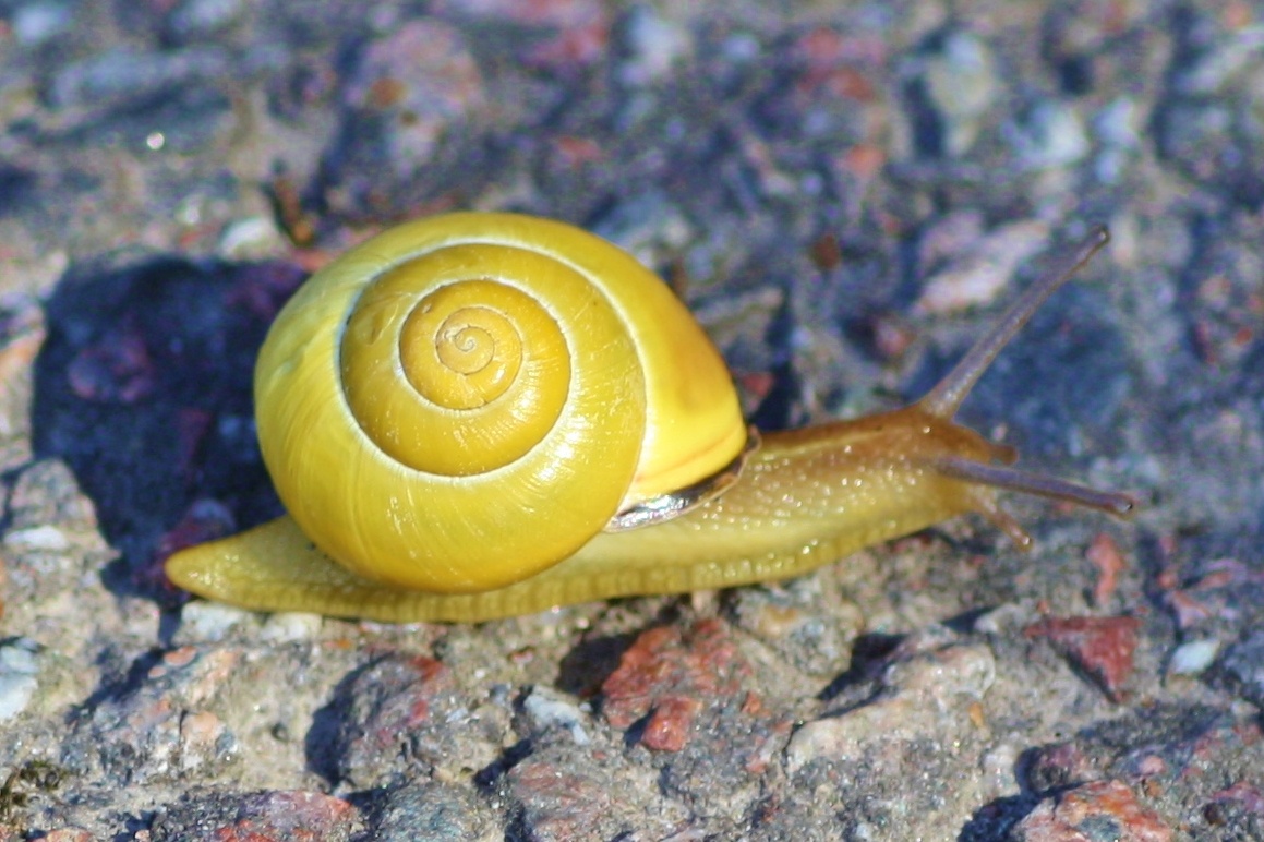 Источник изображения: forum.gamequitters.com